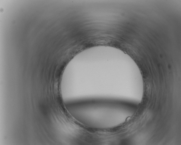 X0000062910745200601201936