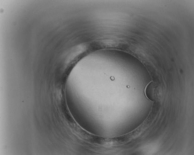 X0000062910746200601201936