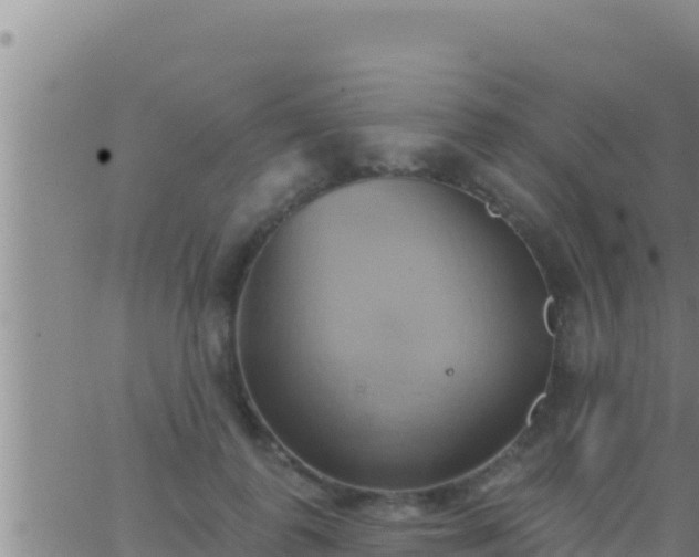 X0000062910747200601201936