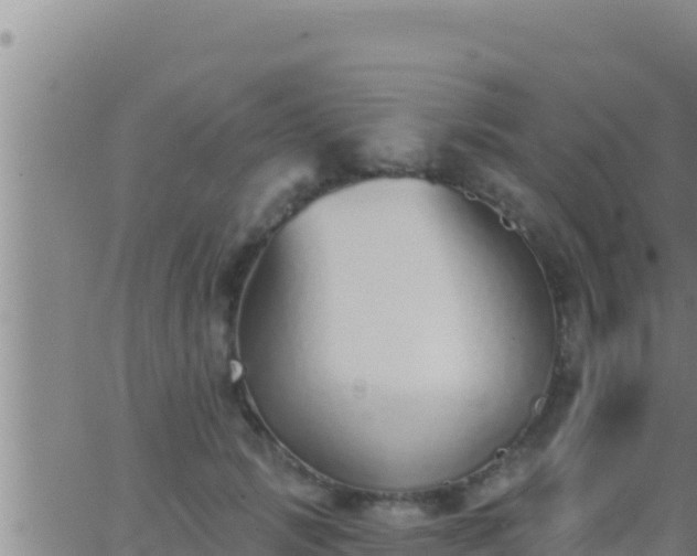 X0000062910749200601201936