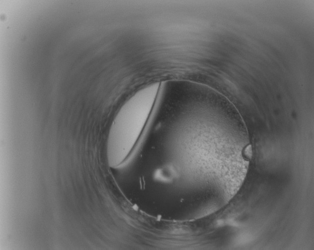 X0000062910750200601201936