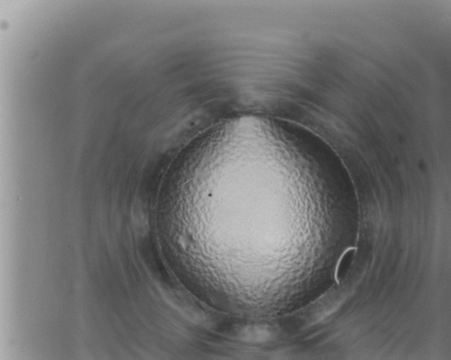 X0000062910751200601201936