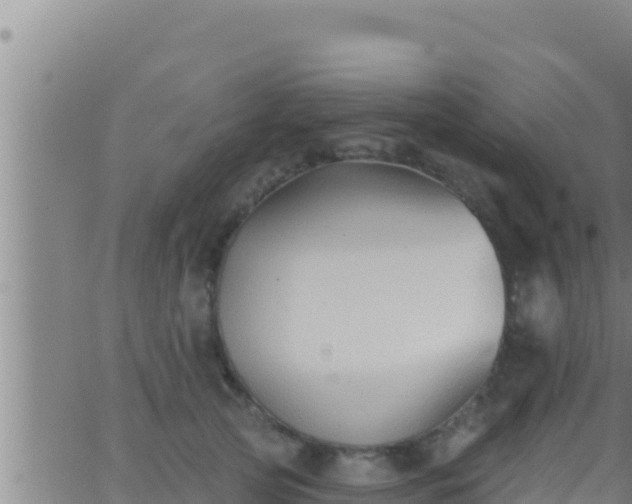 X0000062910753200601201936