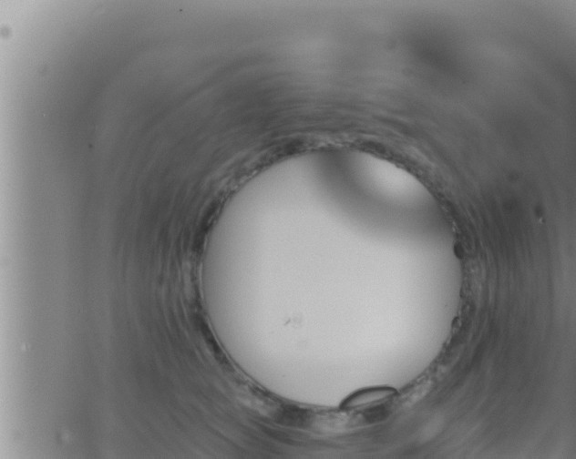 X0000062910757200601201936