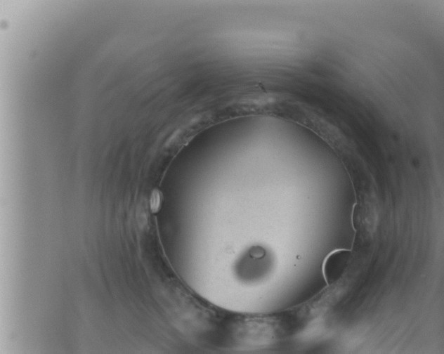 X0000062910758200601201936