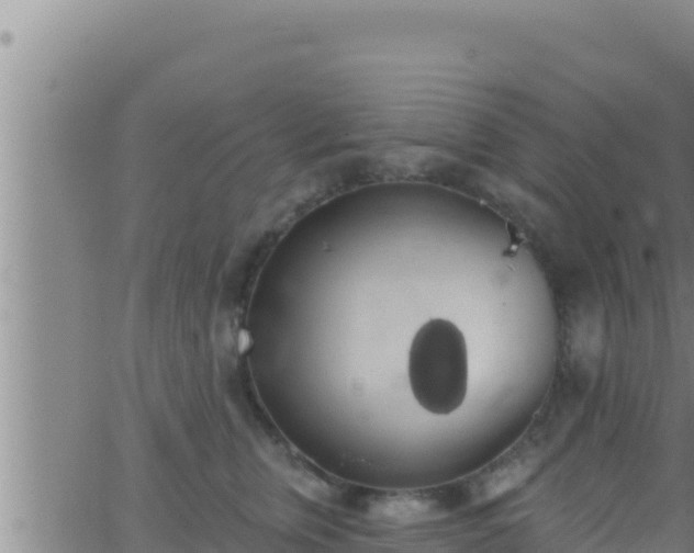 X0000062910759200601201936