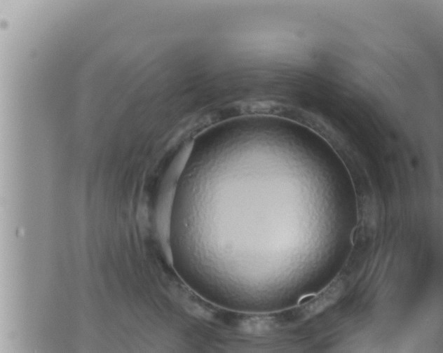 X0000062910761200601201936