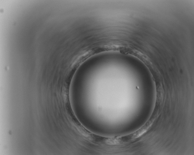 X0000062910762200601201936