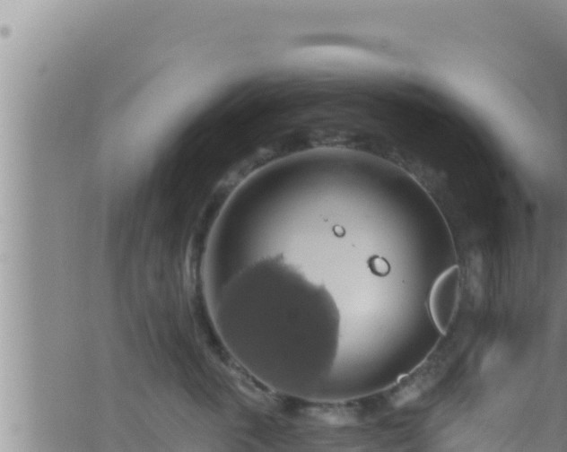 X0000062910763200601201936