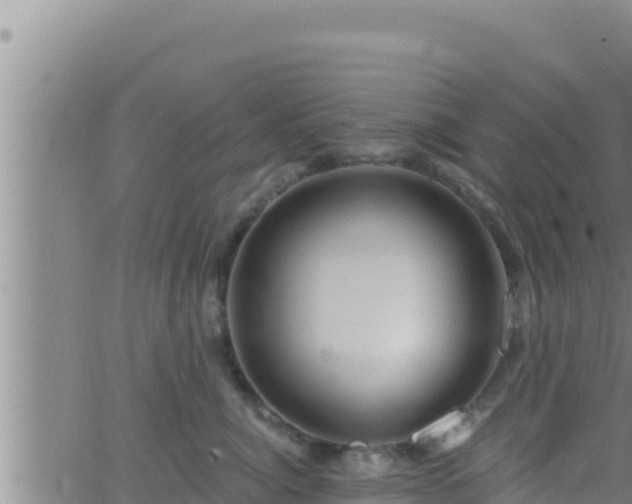 X0000062910764200601201936