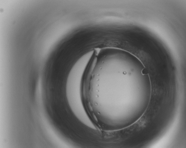 X0000062910765200601201936