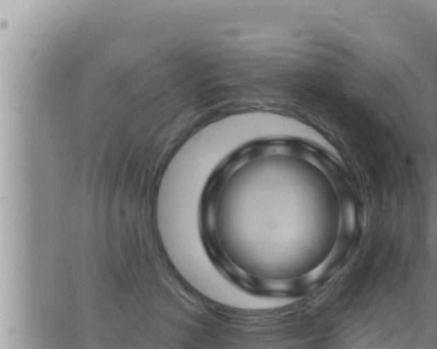 X0000062910766200601201936