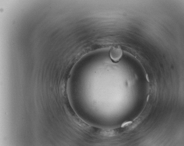 X0000062910767200601201936