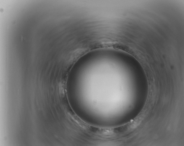 X0000062910768200601201936