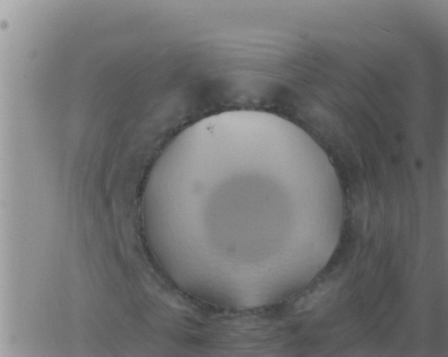 X0000062910769200601201935