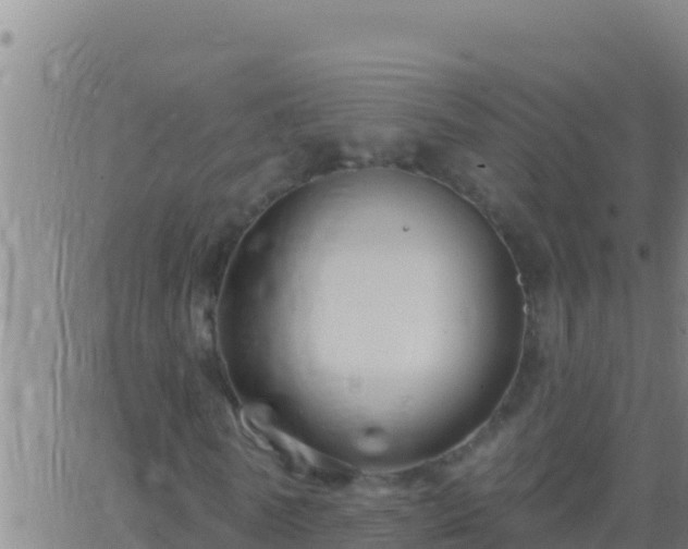 X0000062910770200601201935