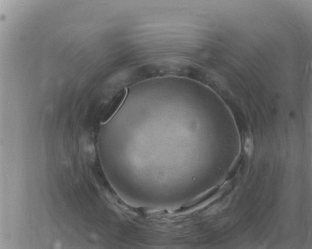 X0000062910771200601201935