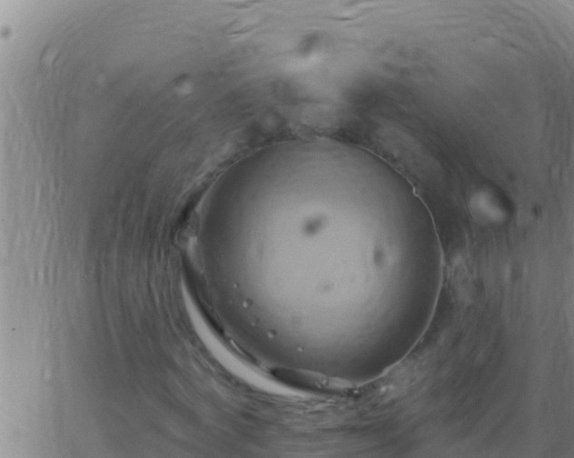 X0000062910772200601201935