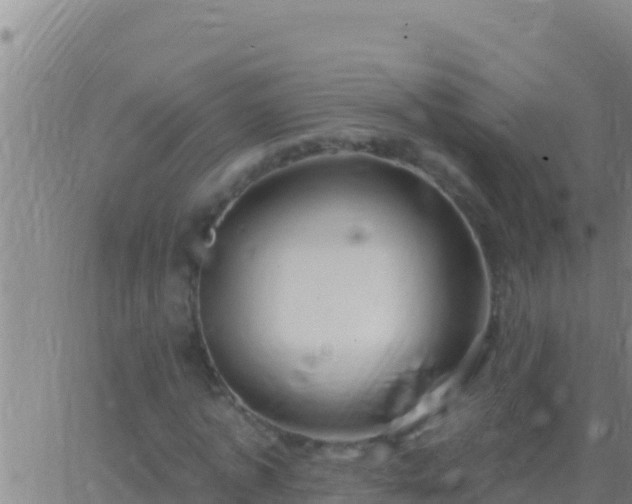 X0000062910773200601201935