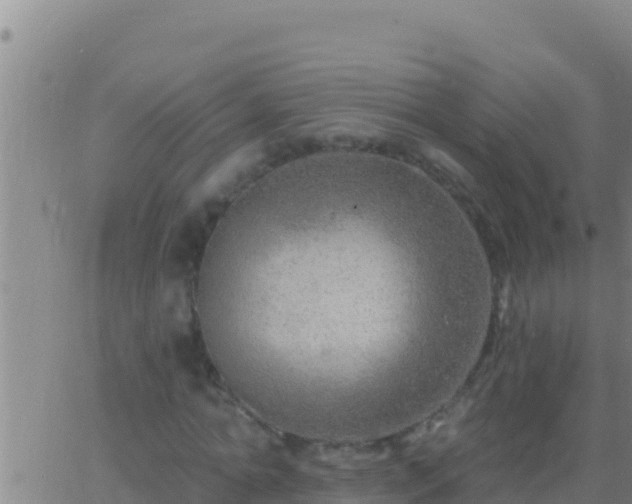 X0000062910774200601201935