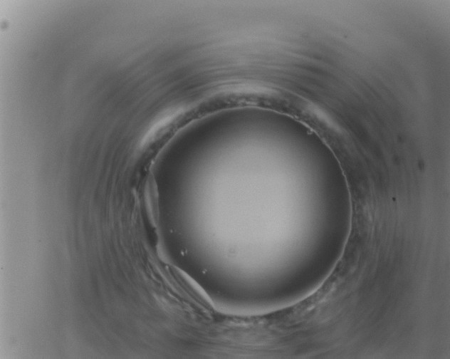 X0000062910775200601201935