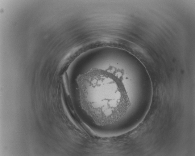 X0000062910776200601201935