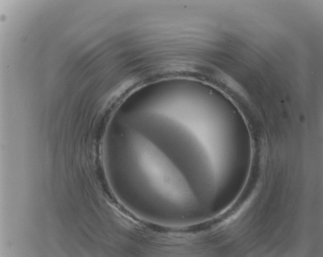 X0000062910777200601201935