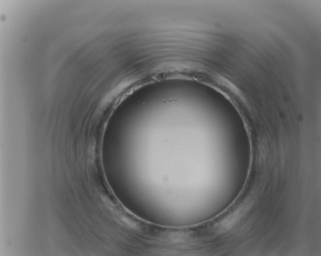 X0000062910778200601201935