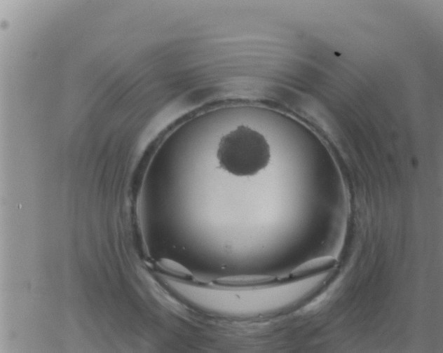 X0000062910779200601201935