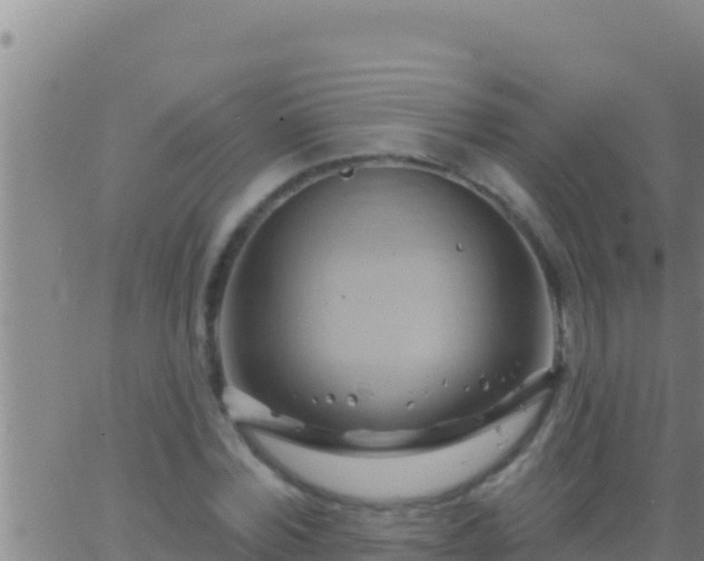 X0000062910780200601201935