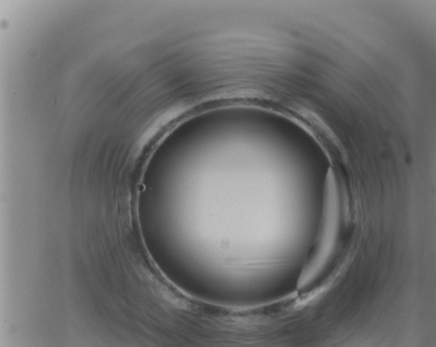 X0000062910781200601201935