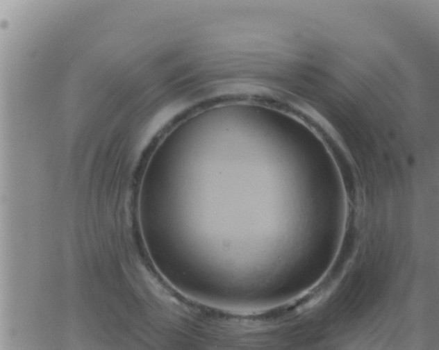 X0000062910783200601201935