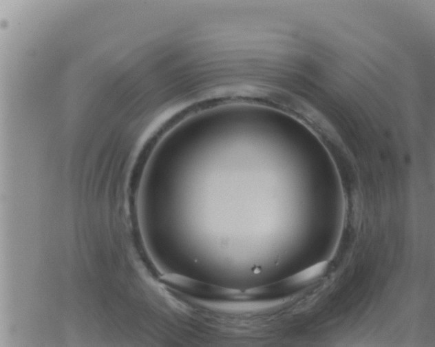 X0000062910784200601201935