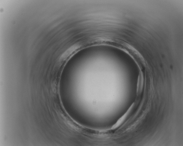 X0000062910785200601201935