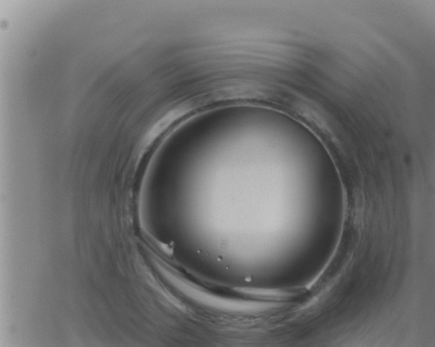 X0000062910786200601201935