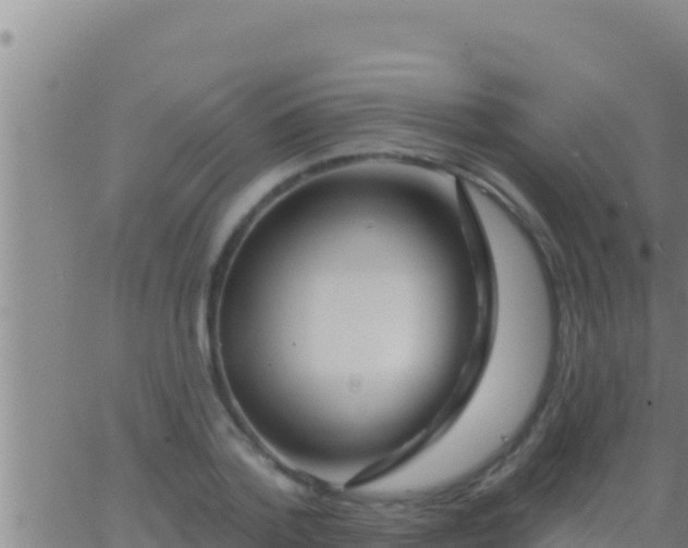 X0000062910788200601201935