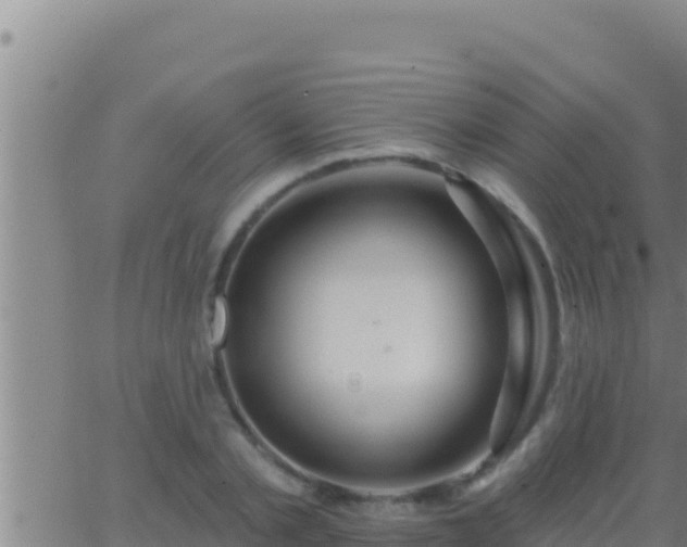 X0000062910789200601201935