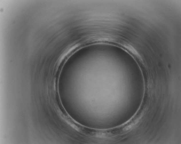 X0000062910790200601201935