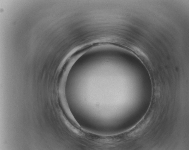 X0000062910792200601201935