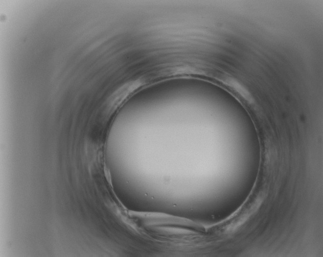 X0000062910793200601201935