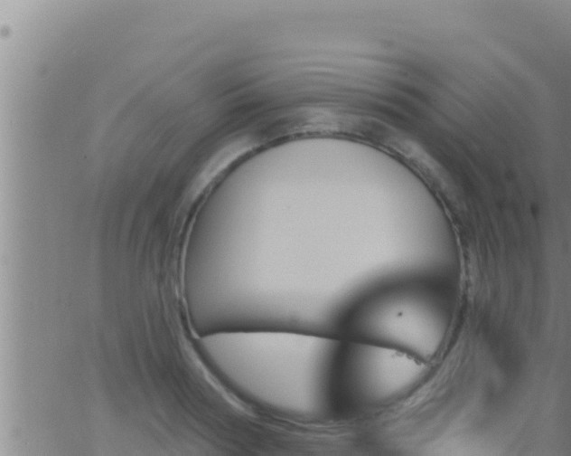 X0000062910794200601201935