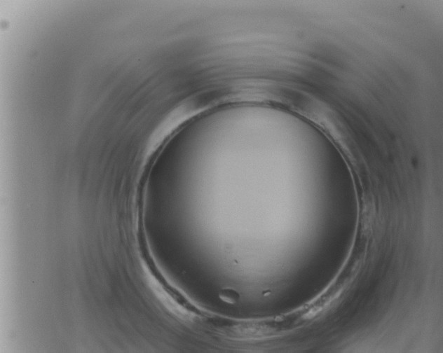 X0000062910795200601201935