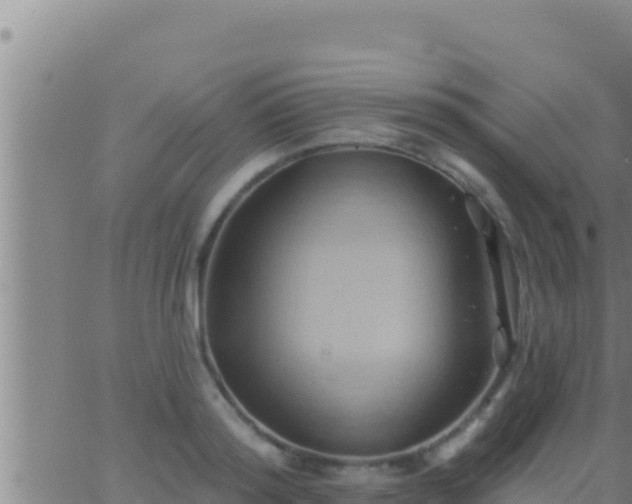 X0000062910796200601201935