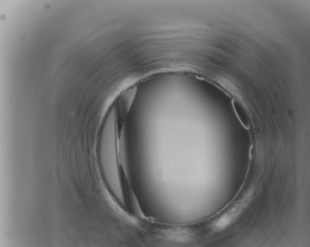 X0000062910797200601201935