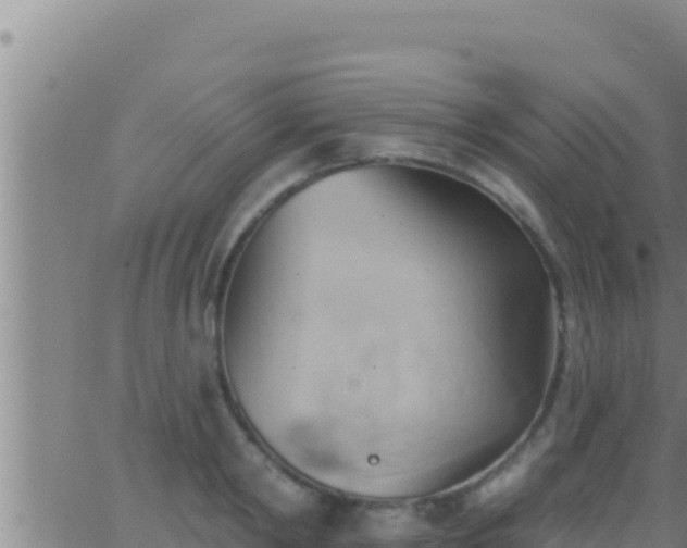 X0000062910798200601201935