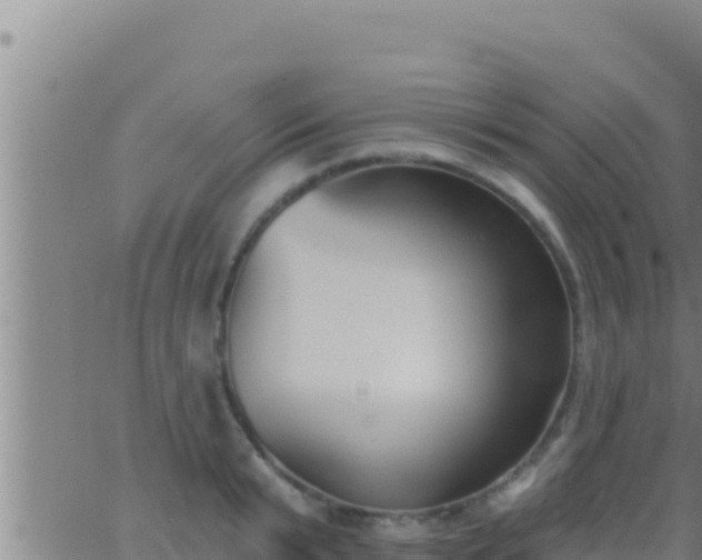 X0000062910799200601201935