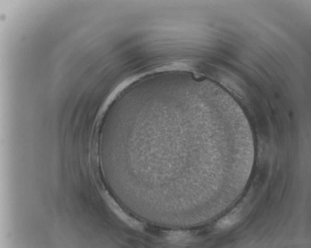 X0000062910800200601201935