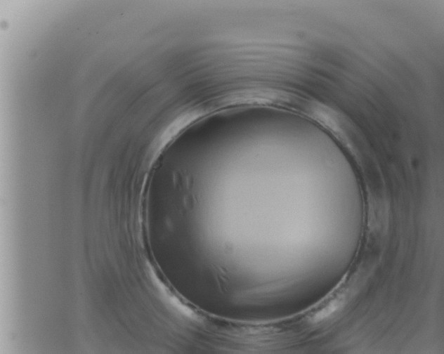 X0000062910802200601201935