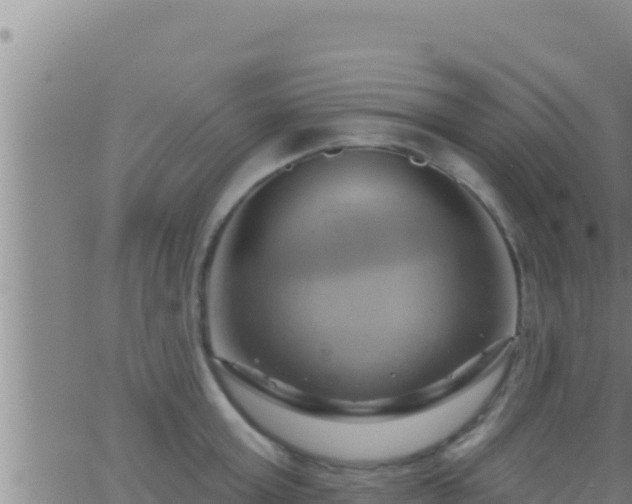 X0000062910803200601201935