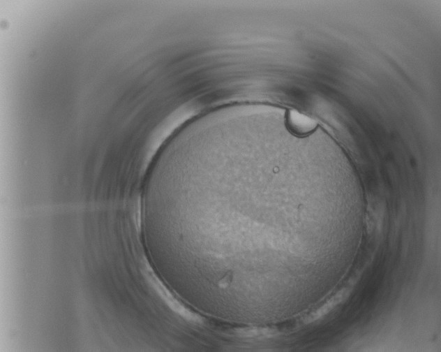 X0000062910804200601201935